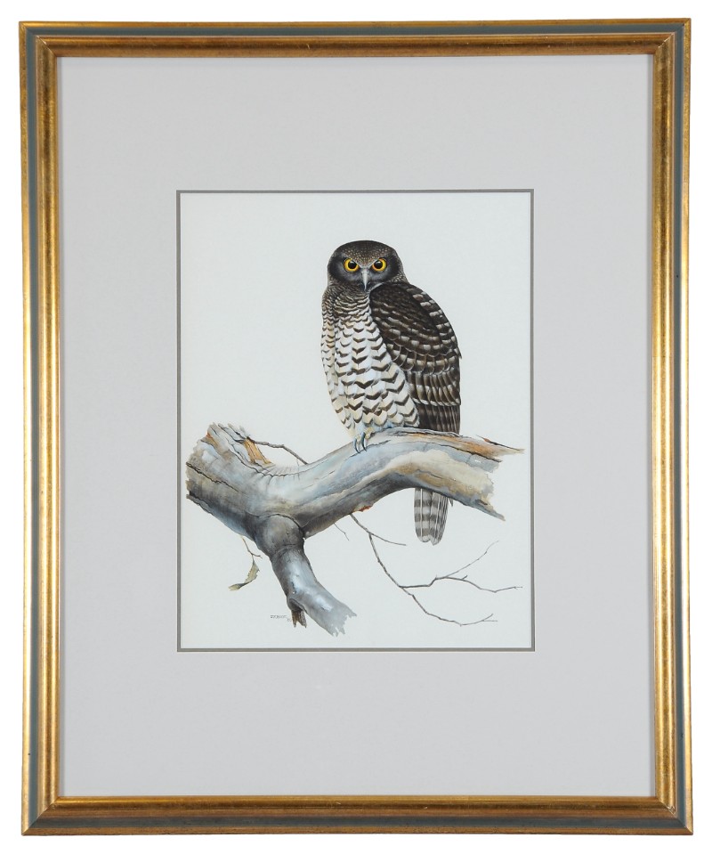 Image 2